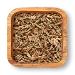 Anise Seed