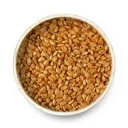 Short Grain Brown Rice