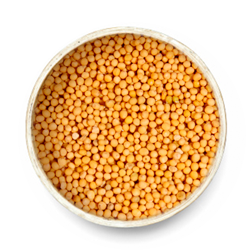 Yellow Mustard Seeds