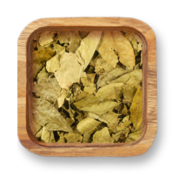 Curry Leaves