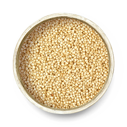 Quinoa